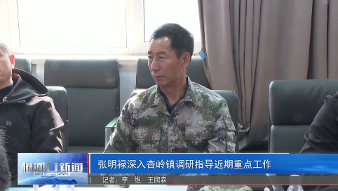 张明禄深入杏岭镇调研指导近期重点工作