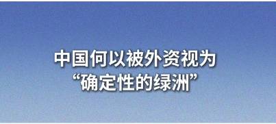 近闻·中国何以被外资视为“确定性的绿洲”