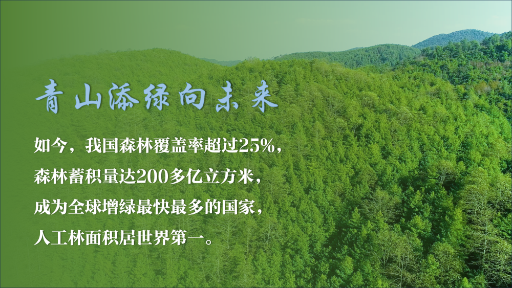 微视频｜青山添绿向未来