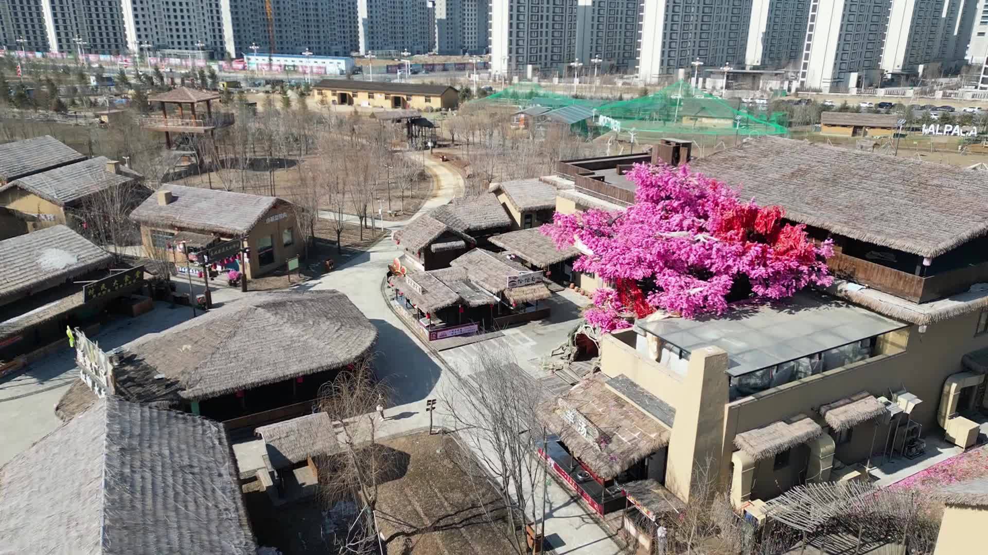 省委常委 宣传部部长曹路宝到我市调研