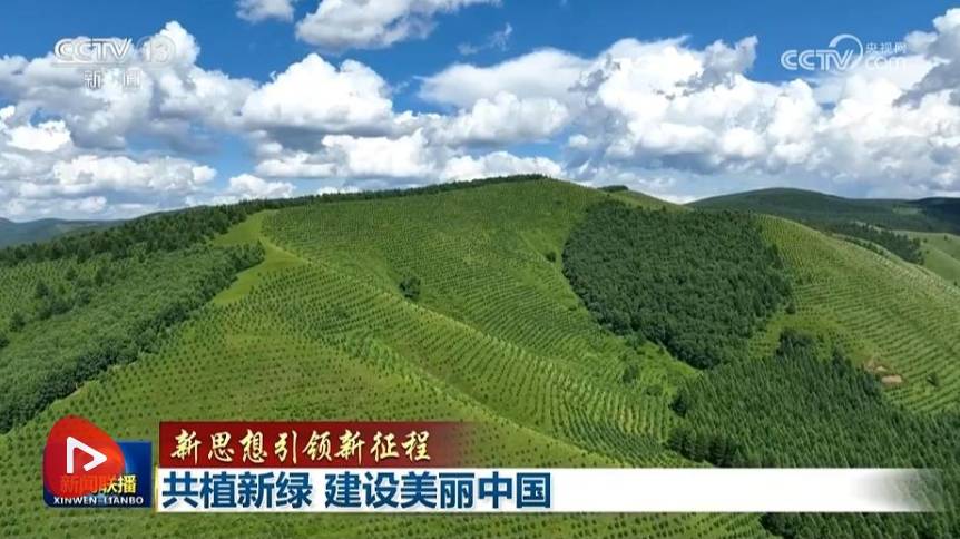 【新思想引领新征程】共植新绿 建设美丽中国