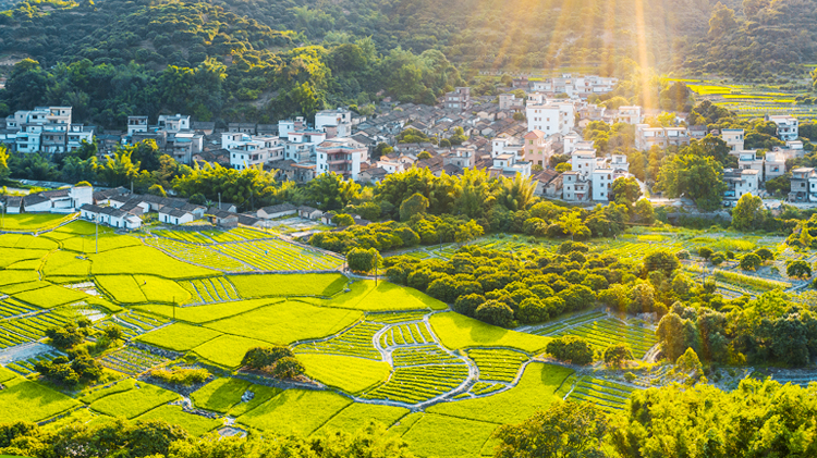 联播+｜督察利剑 守护绿水青山