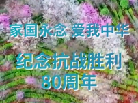 AI微视频｜家国永念 爱我中华