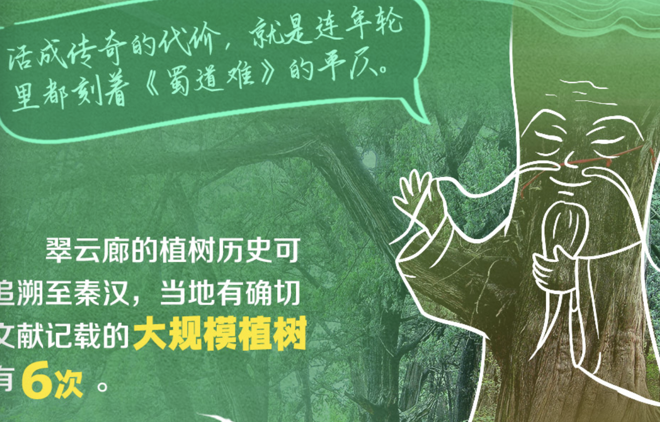 绘学习｜总书记的绿色守望