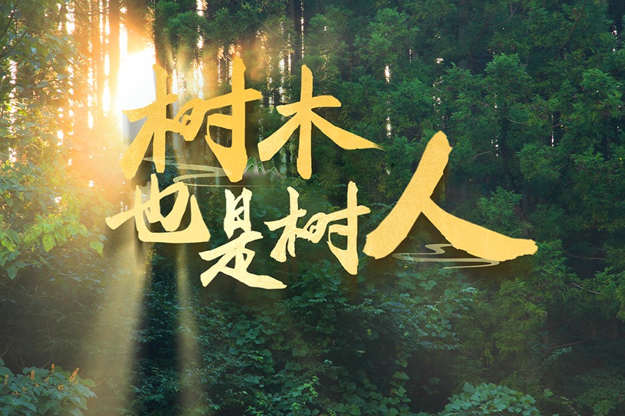 近观“两山” | 树木，也是树人
