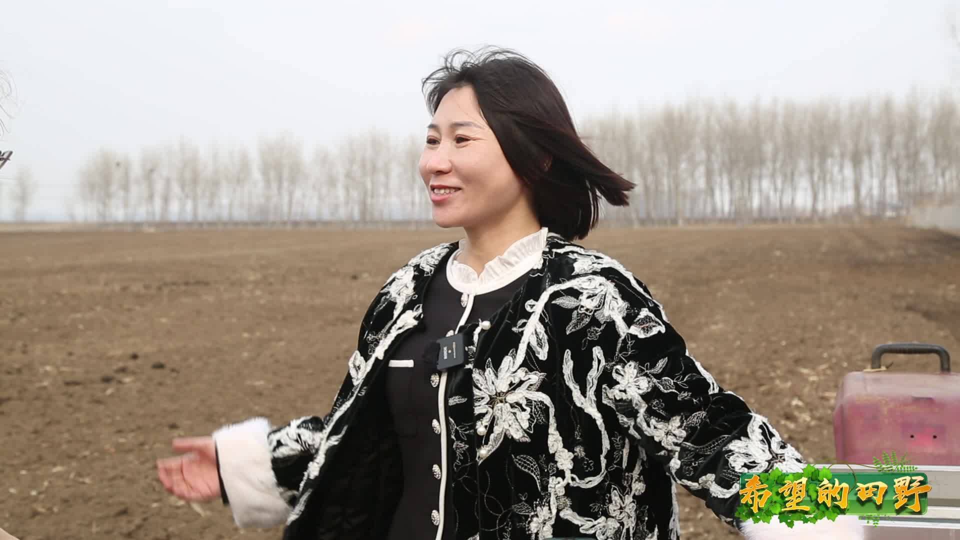 梨树县凤凰山合作社：玉米地里的“三色革命” 轮作增效打造自主品牌