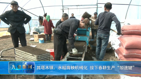 其塔木镇：水稻育秧机械化 按下春耕生产“加速键”