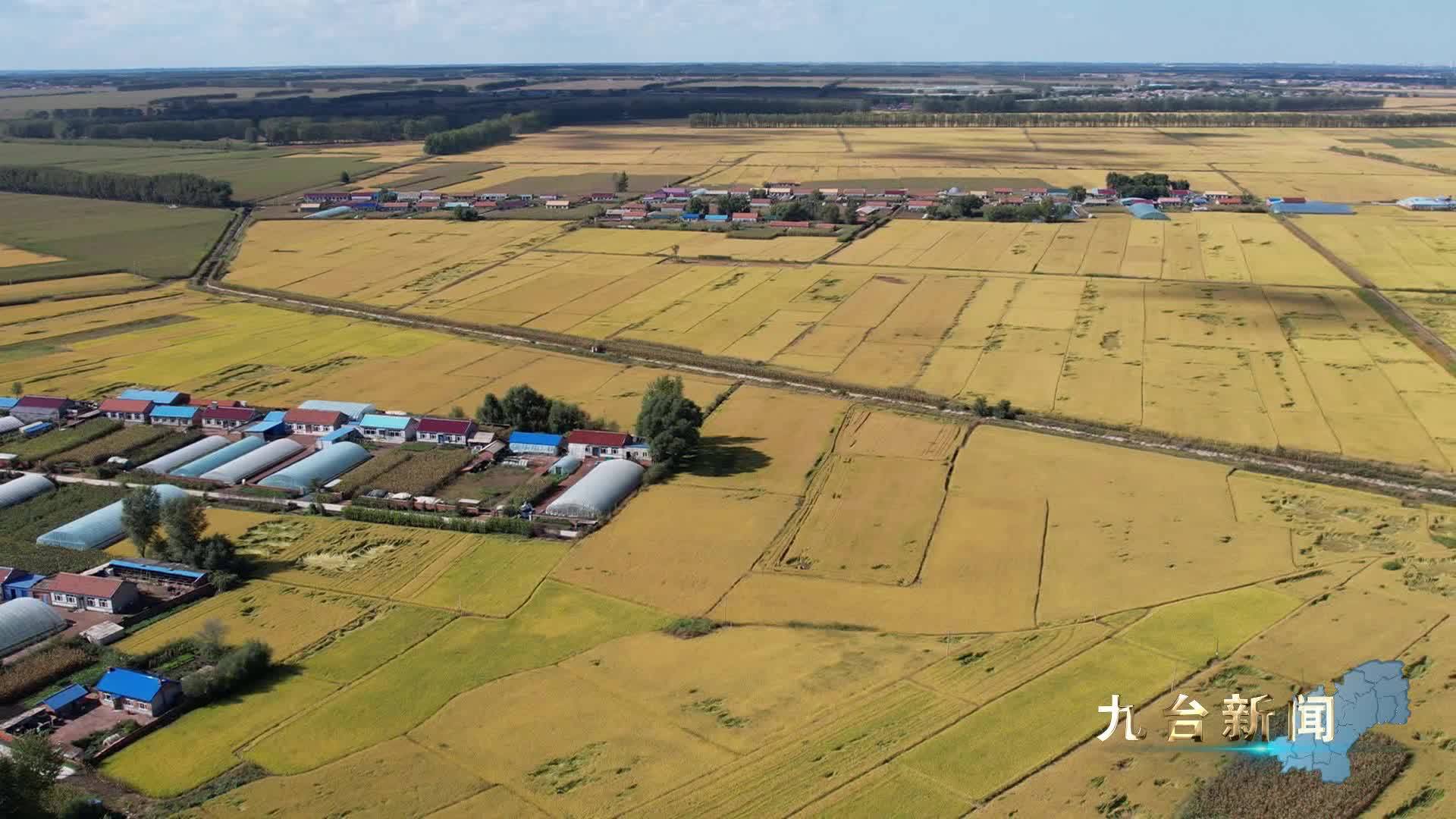 长春新闻：九台区严标准 树品牌让“贡米”香飘现代产业之路