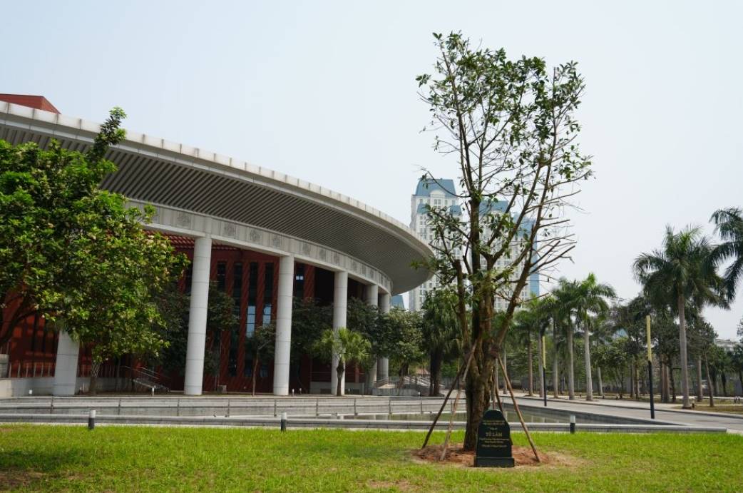 心相近｜“中越友好的根基在人民”——习近平主席引领*动中越传统友谊恒久常新