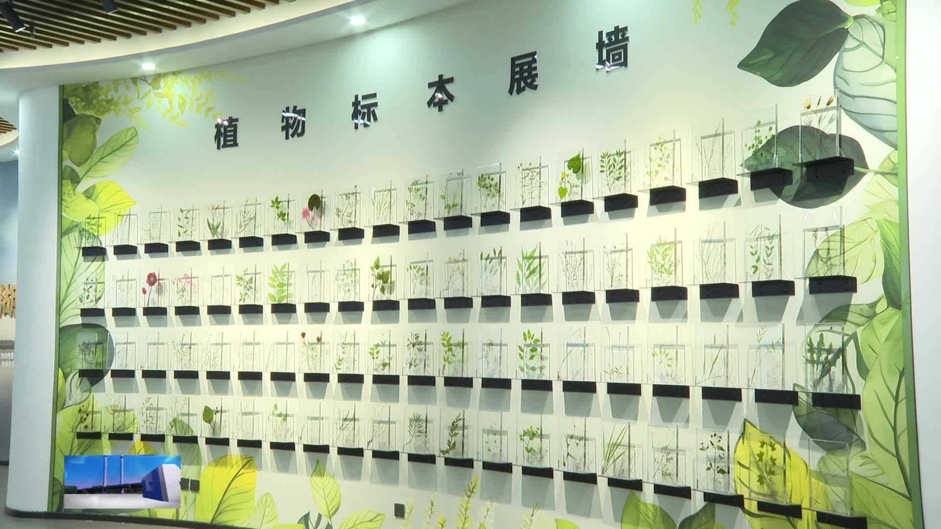 万千气象看松原  观鸟经济让查干湖从“冬捕独舞”到“四季皆景”