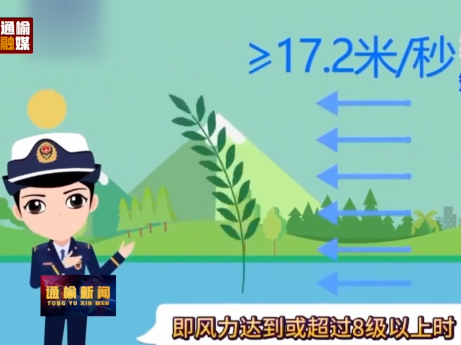 当心“风”险 大风天出行小贴士