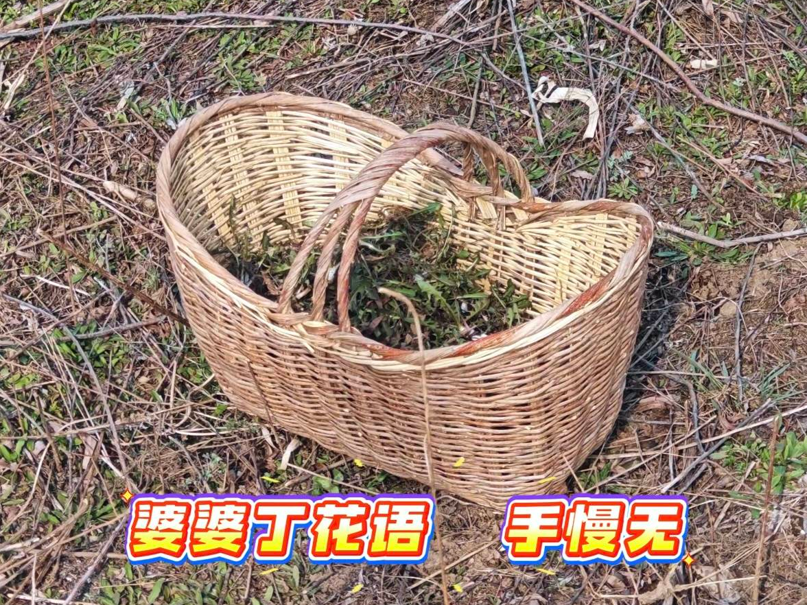 东北人DNA动了丨这不是野菜，是刻在骨子里的春日仪式