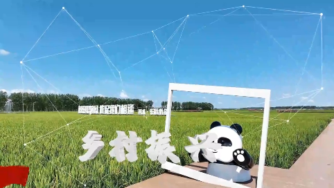 王奔镇光明村：赤松茸迎来采收季  撑起乡村振兴“致富伞”003