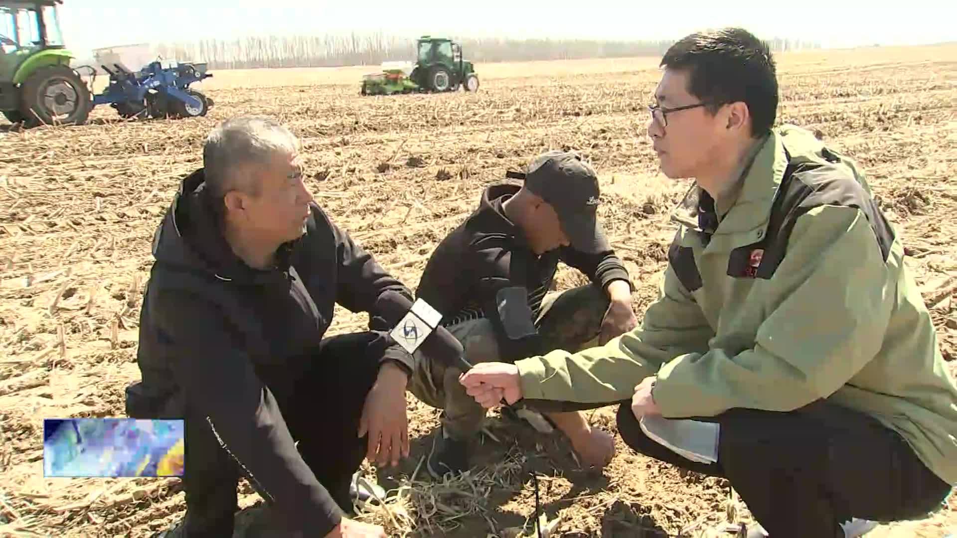 我市保护性耕作拉开春耕大幕   守护黑土地“耕地中的大熊猫”