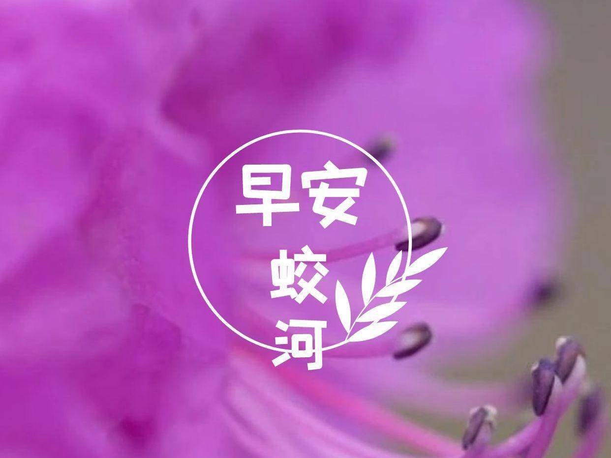 早安蛟河