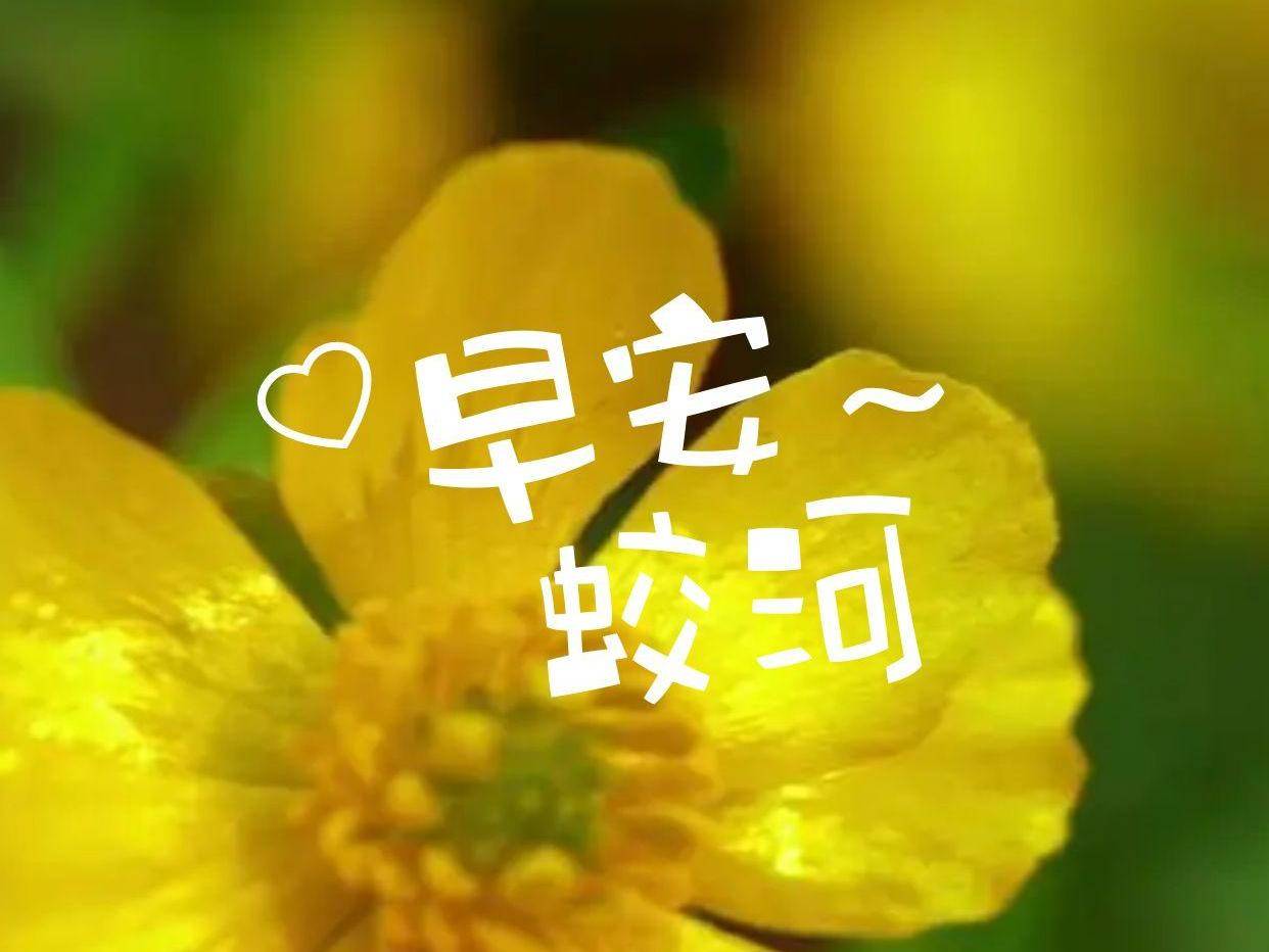 早安蛟河
