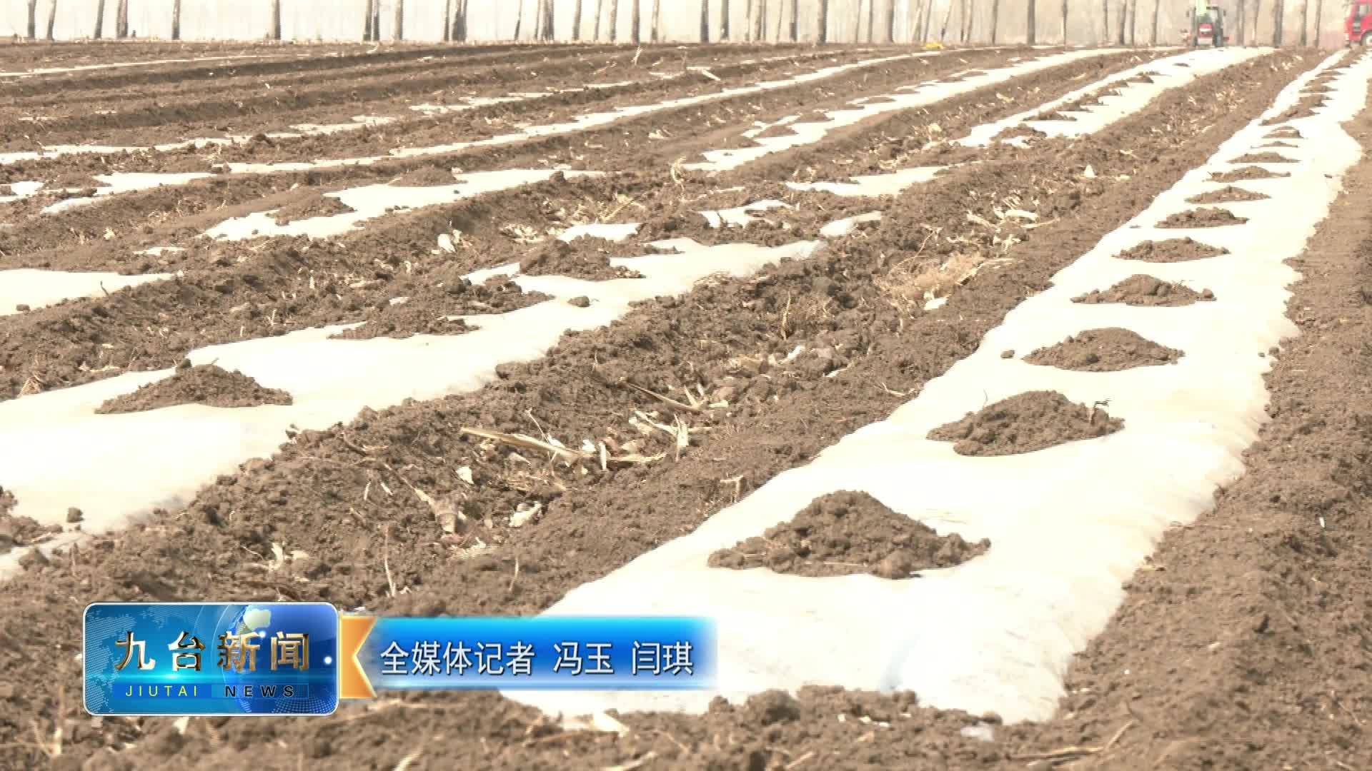 纪家街道双杖子村：滴灌覆膜 一地双收                     助力乡村振兴