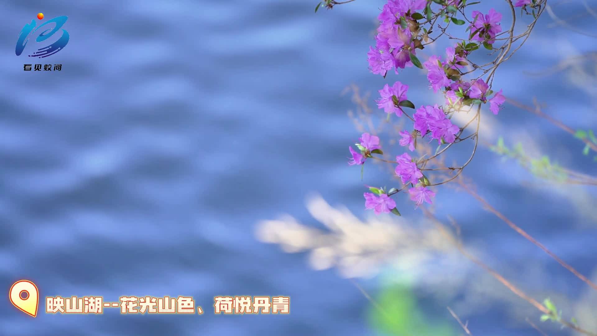 “五一”大美蛟河等你来