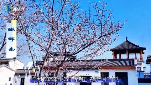 瞰辉南2025年04月25日