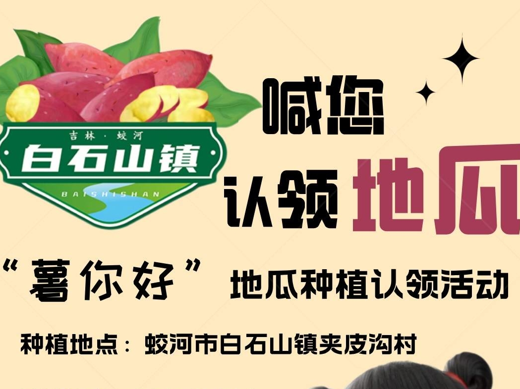 蛟河市白石山镇“薯你好”地瓜种植认领活动开始了