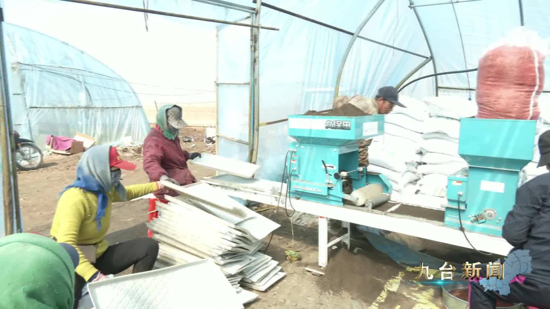 上级媒体看九台 长春新闻：九台区机械育苗效率高 水稻丰产基础牢
