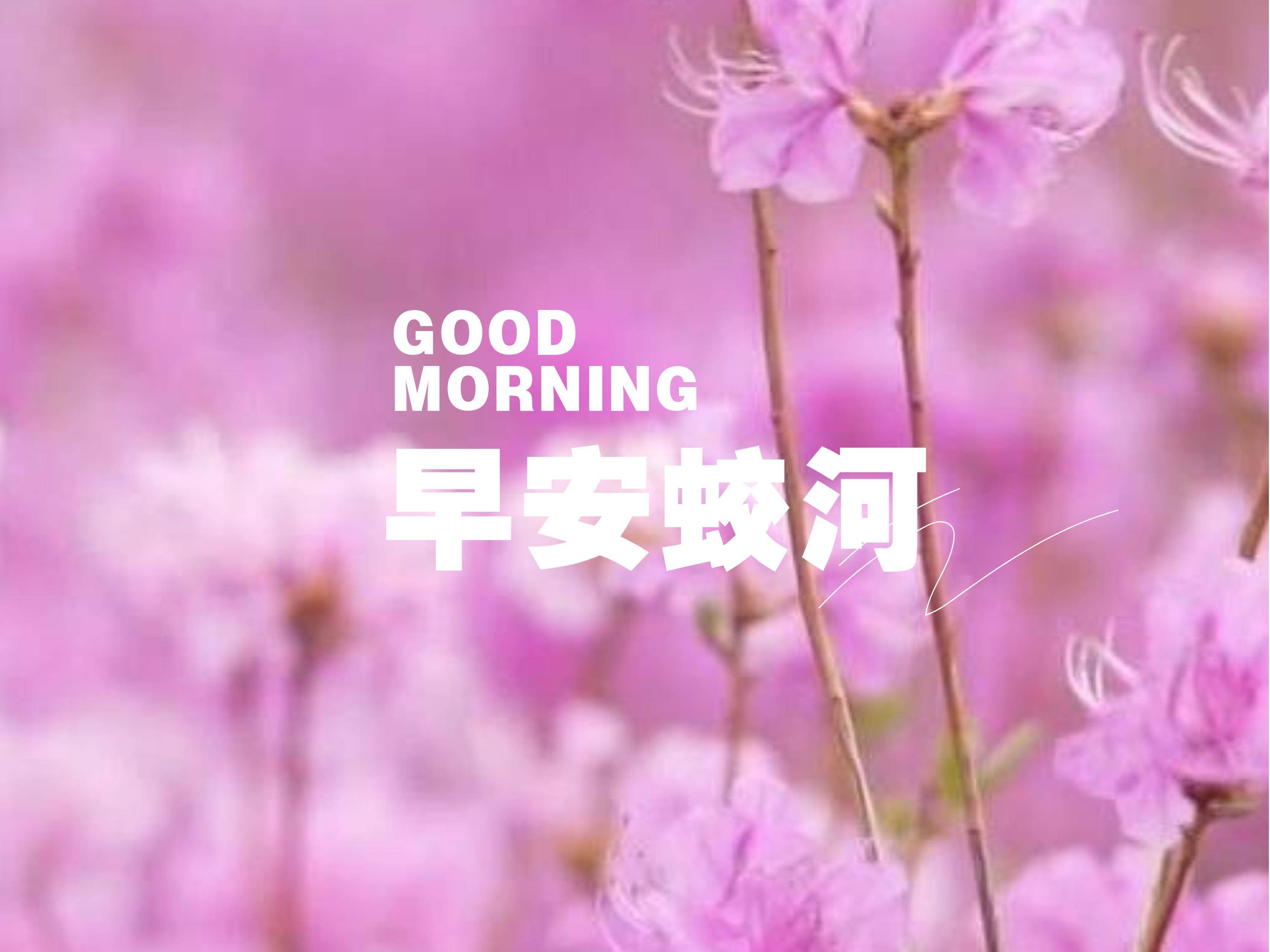 早安蛟河