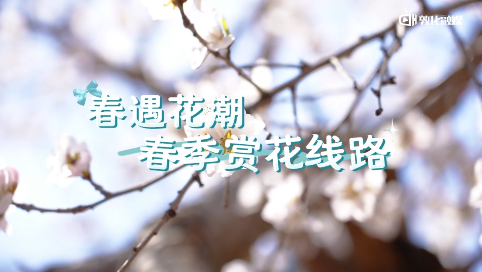 “五一”特色旅游线路游敦化！｜春遇花潮 春季赏花线路