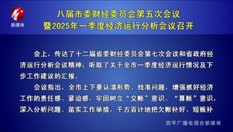 八届市委财经委员会第五次会议暨2025年一季度经济运行分析会议召开