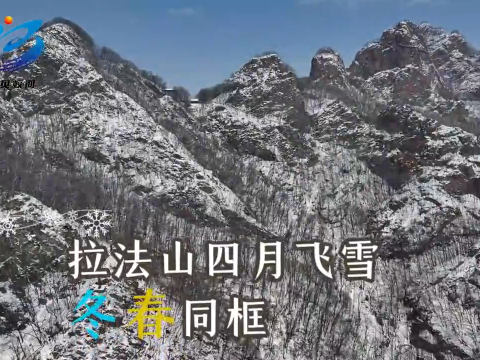 蛟河市拉法山四月飞雪 冬春同框