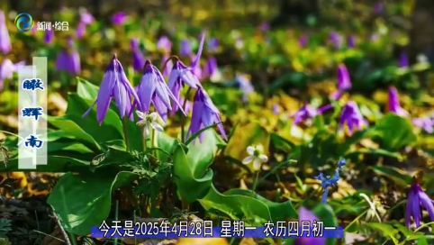 瞰辉南2025年04月28日