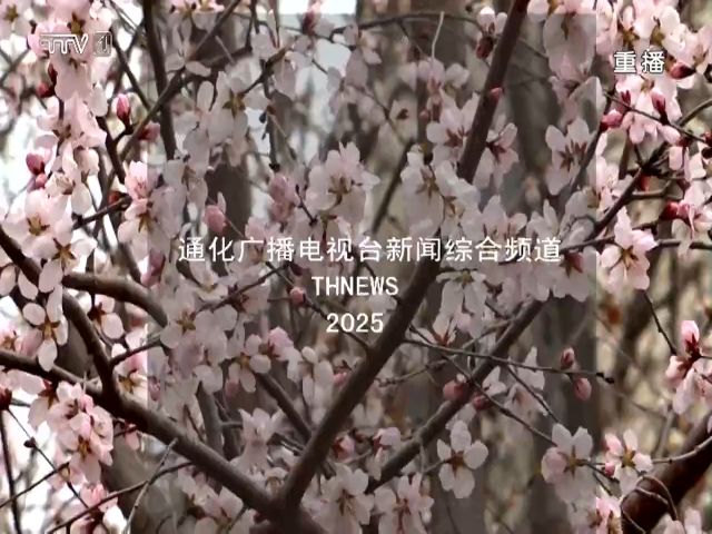 春花绽放染山城