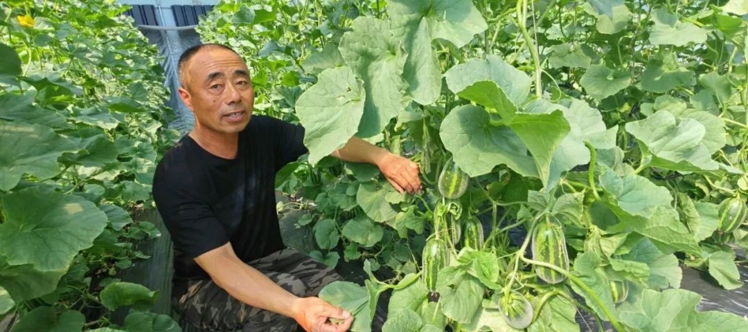 潘红军2025-04-29_090739_942.jpg