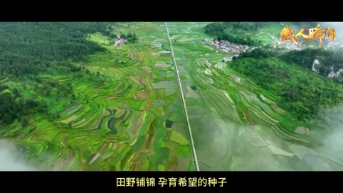 “感人瞬间”微视频丨劳动的力量