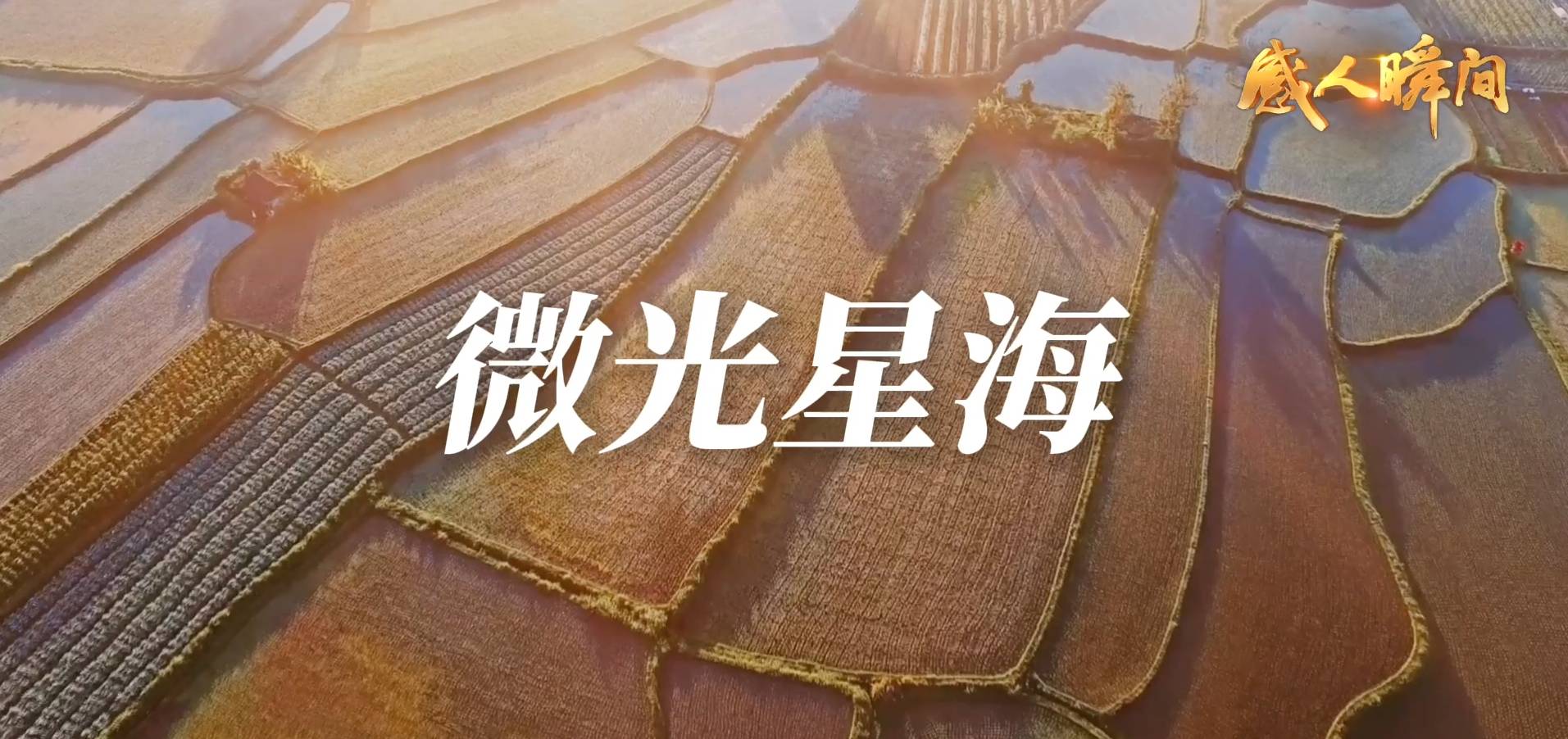 微光星海
