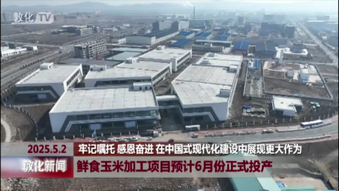 鲜食玉米加工项目预计6月份正式投产