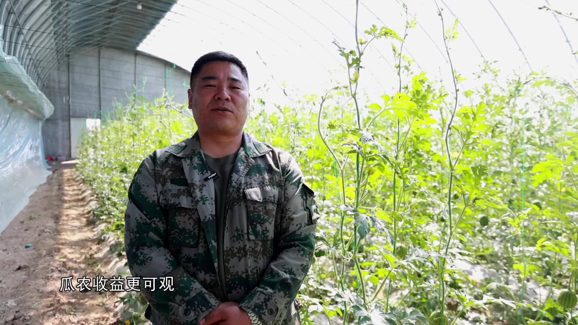 2025.5.5 乡约黑土地