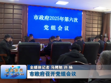 蛟河市政府召开党组会议