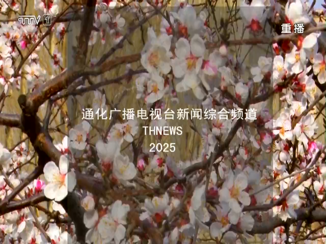 玉皇山公园：山花遍野春意浓