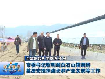 蛟河市委书记靳明到白石山镇调研基层党组织建设和产业发展等工作