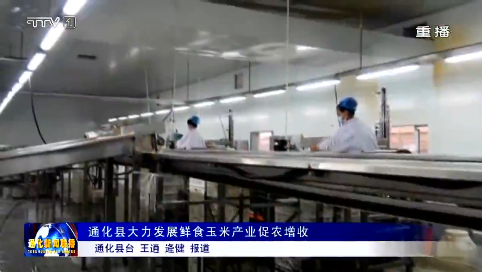 通化县大力发展鲜食玉米产业促农增收