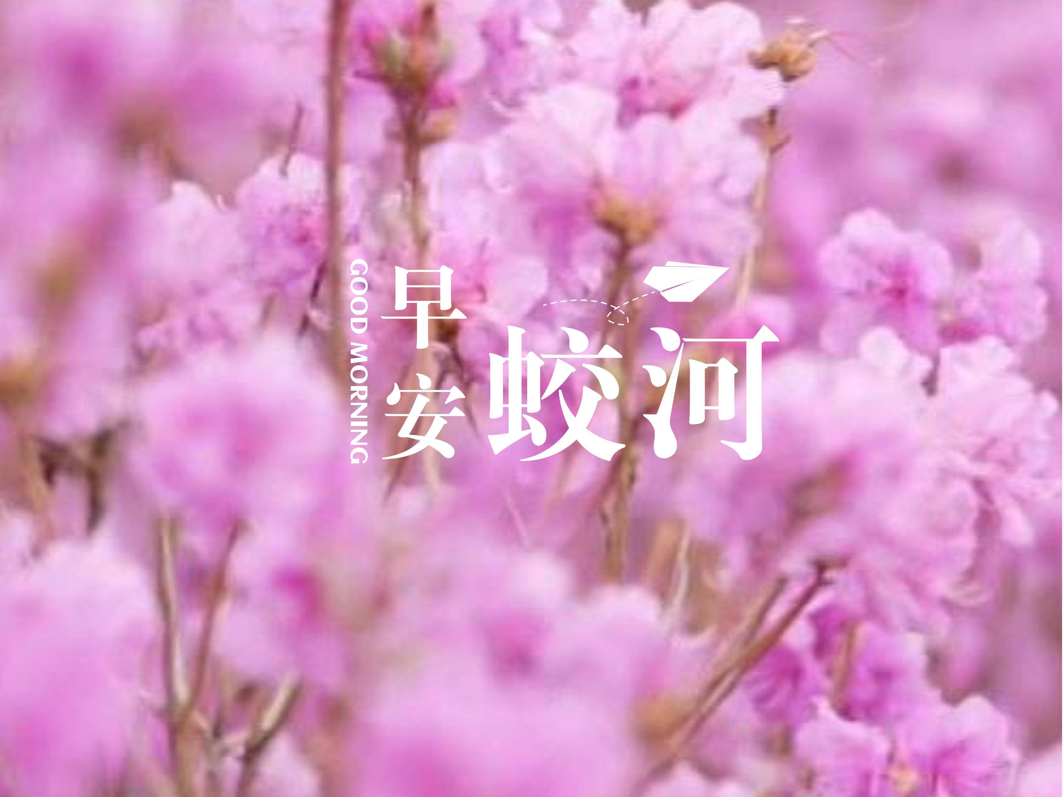 早安蛟河