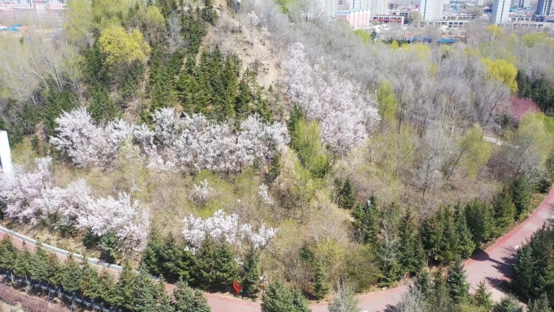 五一畅游长岭丨弘扬劳动精神 唱响奋斗之歌 我县举办庆“五一”广场文化演出