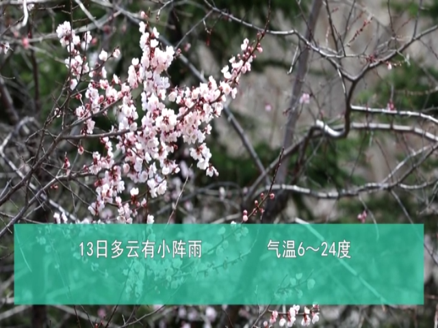 【长白气象信息】一周天气早知道