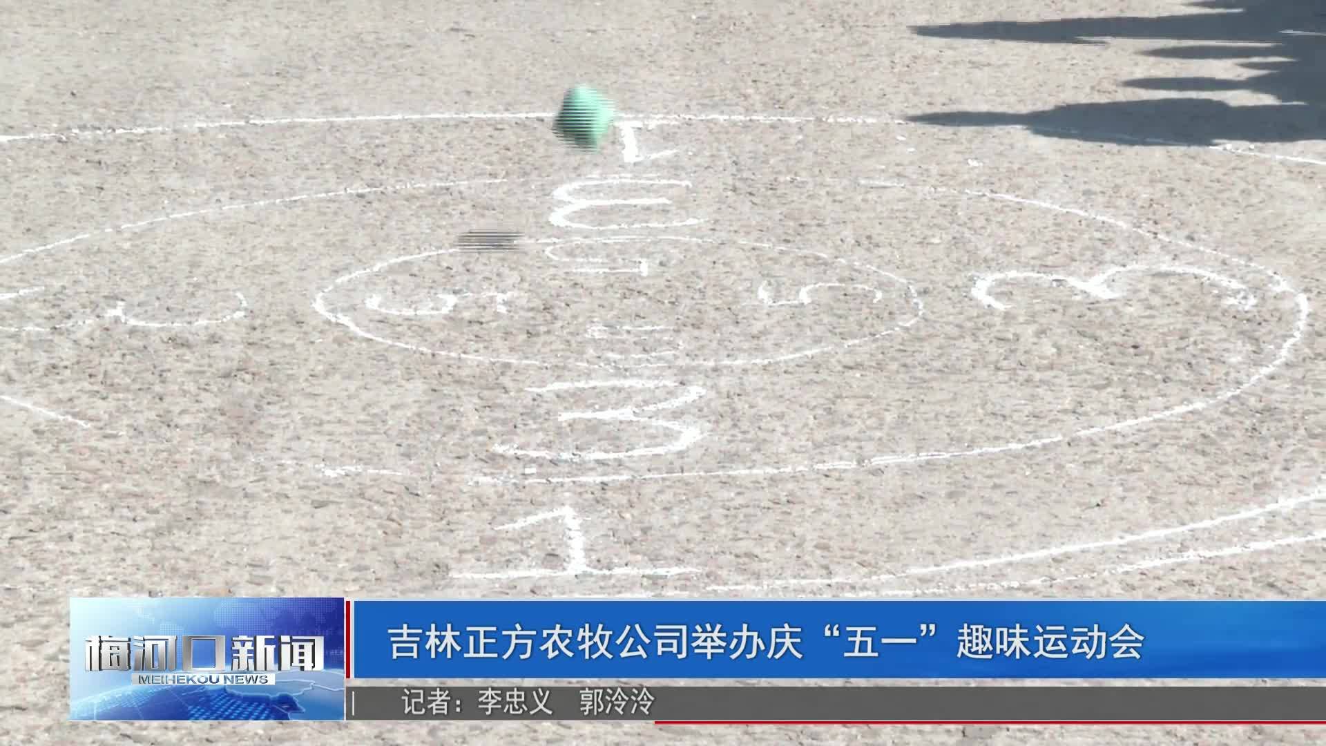 吉林正方农牧公司举办庆“五一”趣味运动会