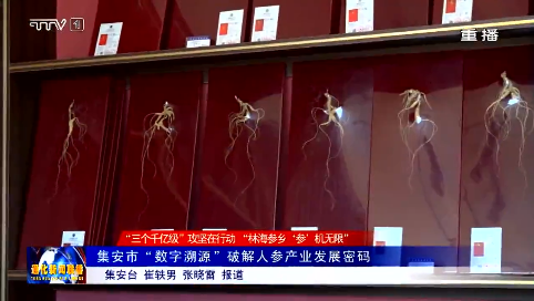 集安市“数字溯源”破解人参产业发展密码