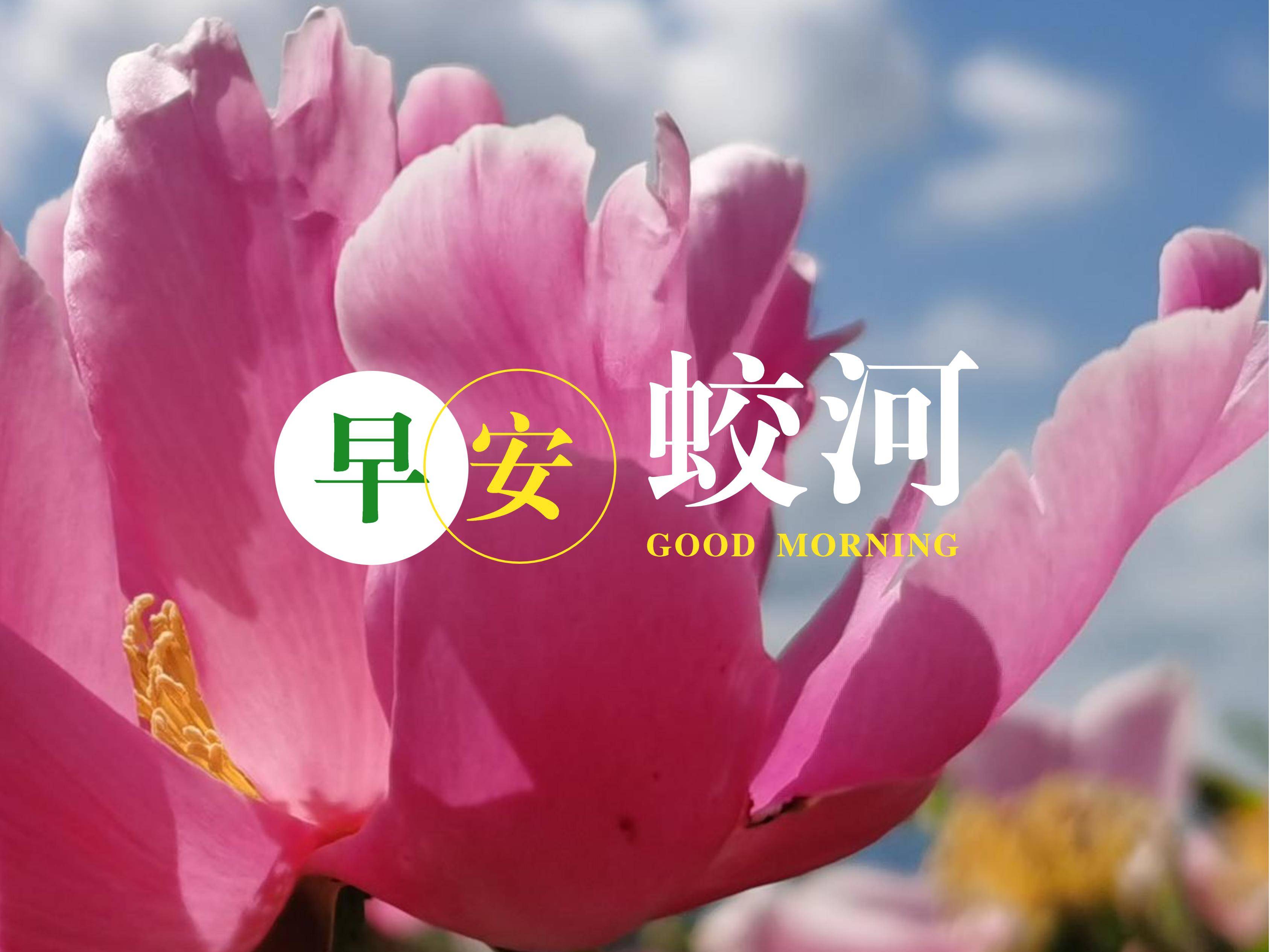 早安蛟河