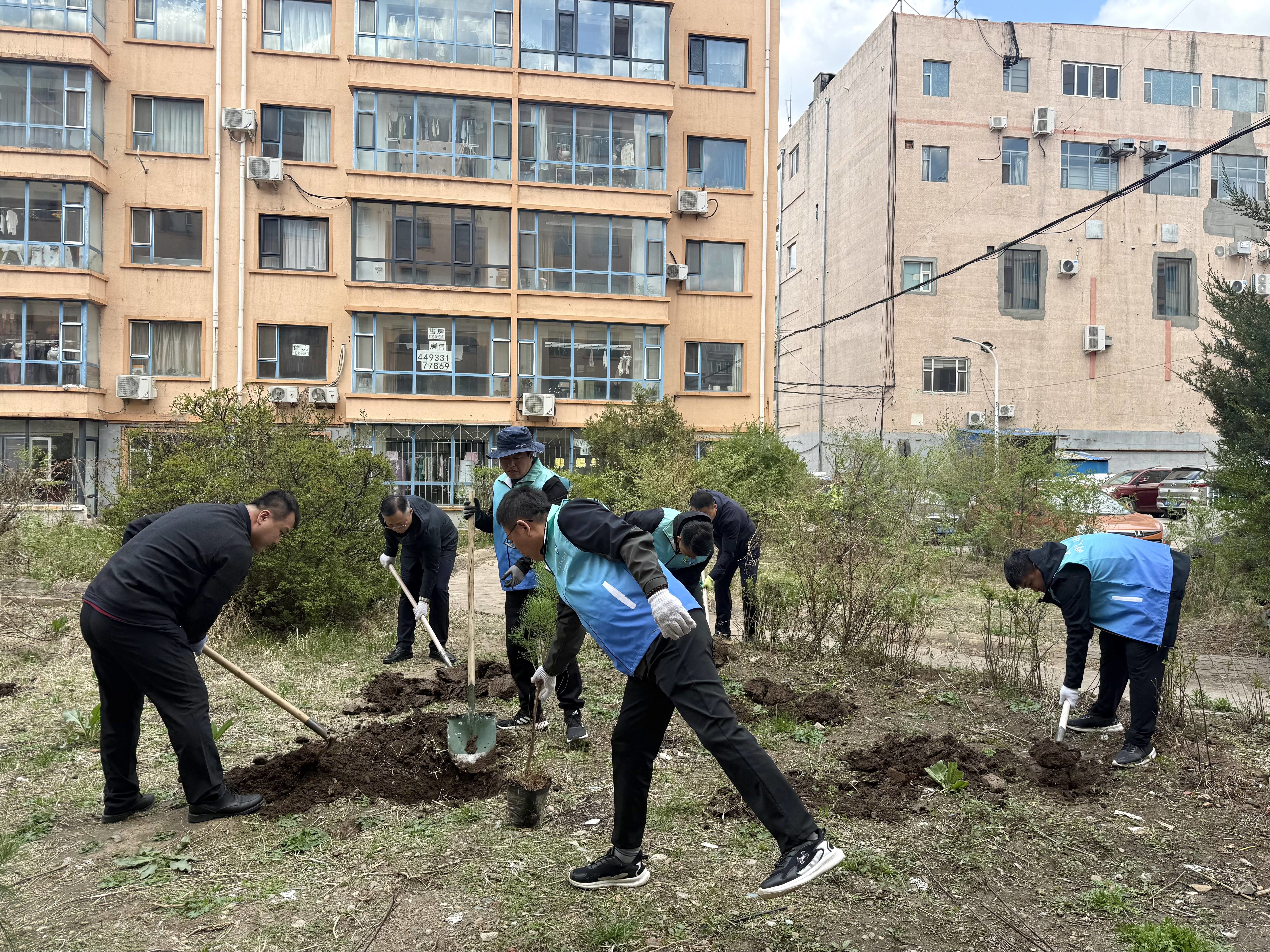 同植生态树 共建绿美家