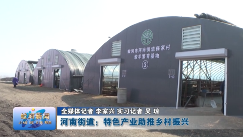 【春启新程 蛟河奋进】蛟河市河南街道：特色产业助推乡村振兴