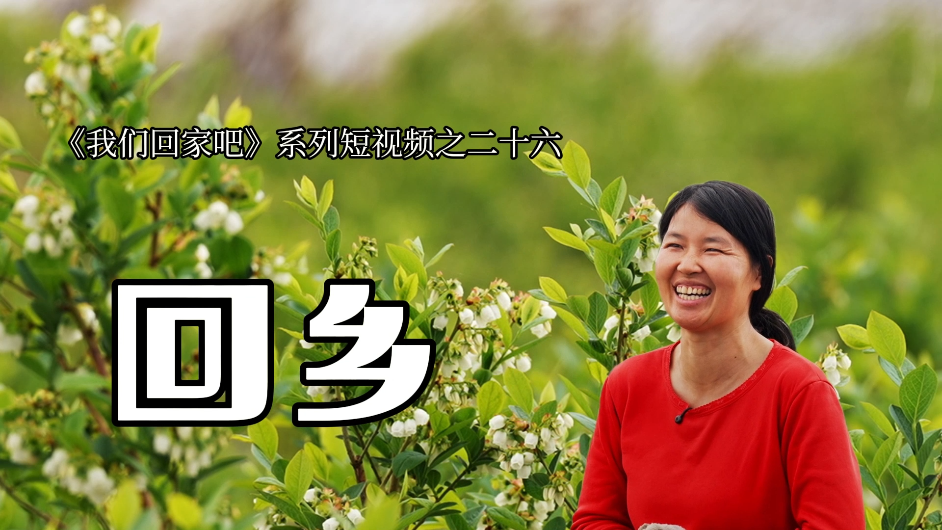 《我们回家吧》系列短视频之二十六丨回乡