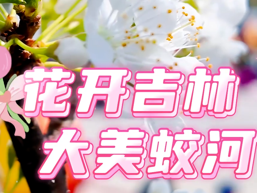花开吉林 大美蛟河